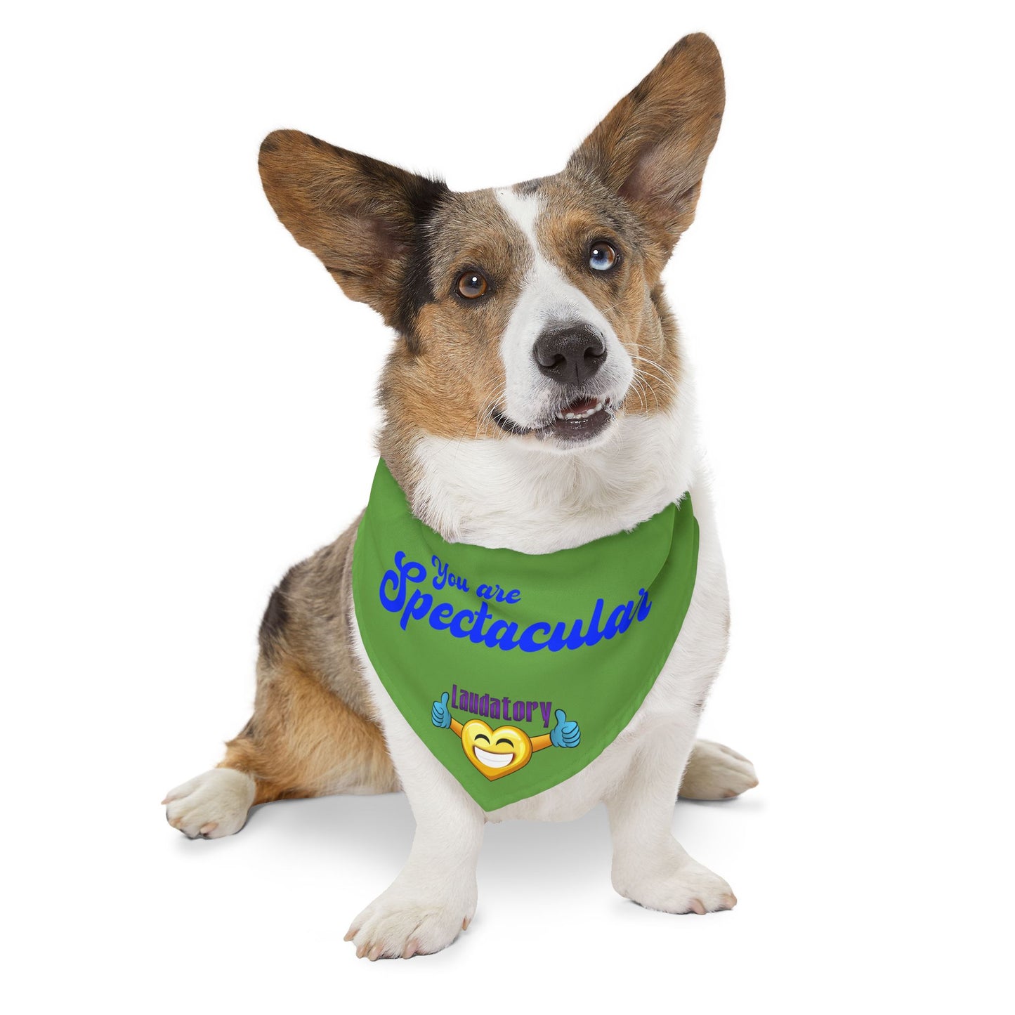 Fun Dog Bandana Collar | Stylish Pet Accessory for Dogs