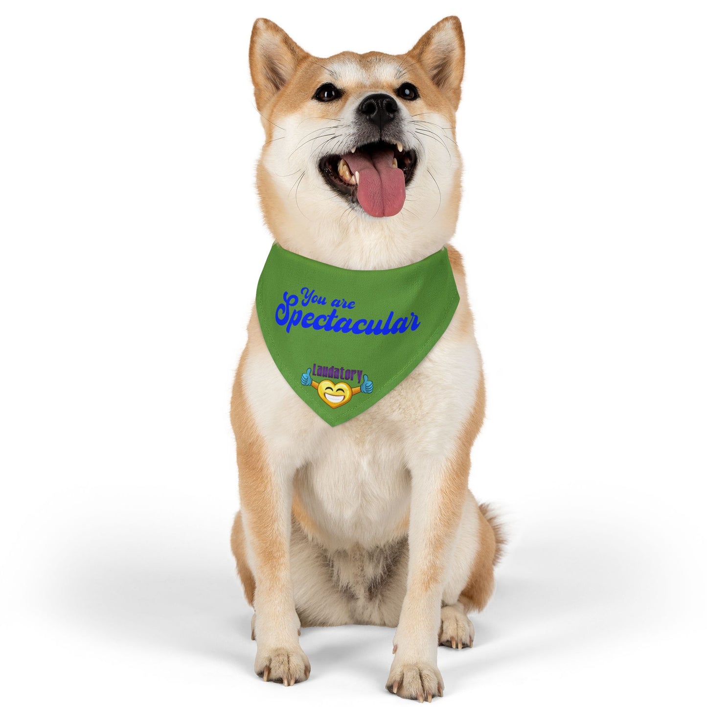 Fun Dog Bandana Collar | Stylish Pet Accessory for Dogs