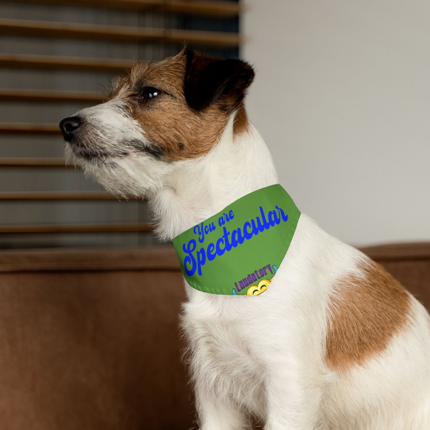 Fun Dog Bandana Collar | Stylish Pet Accessory for Dogs