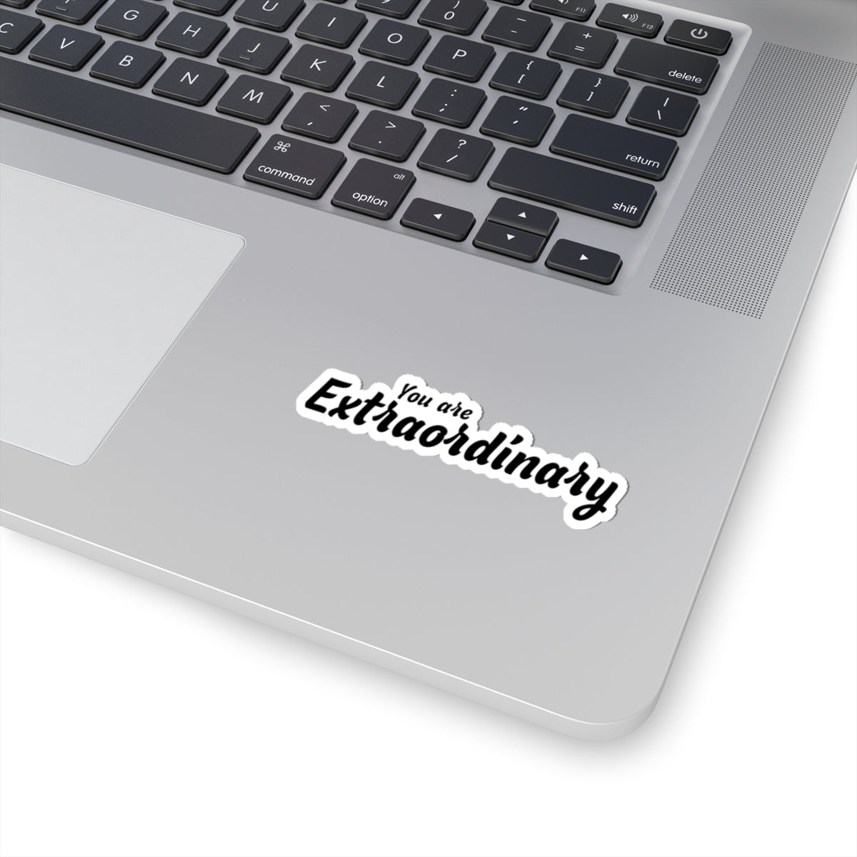 You Are Extraordinary Inspiration Kiss-Cut Stickers | Laptops & Journals
