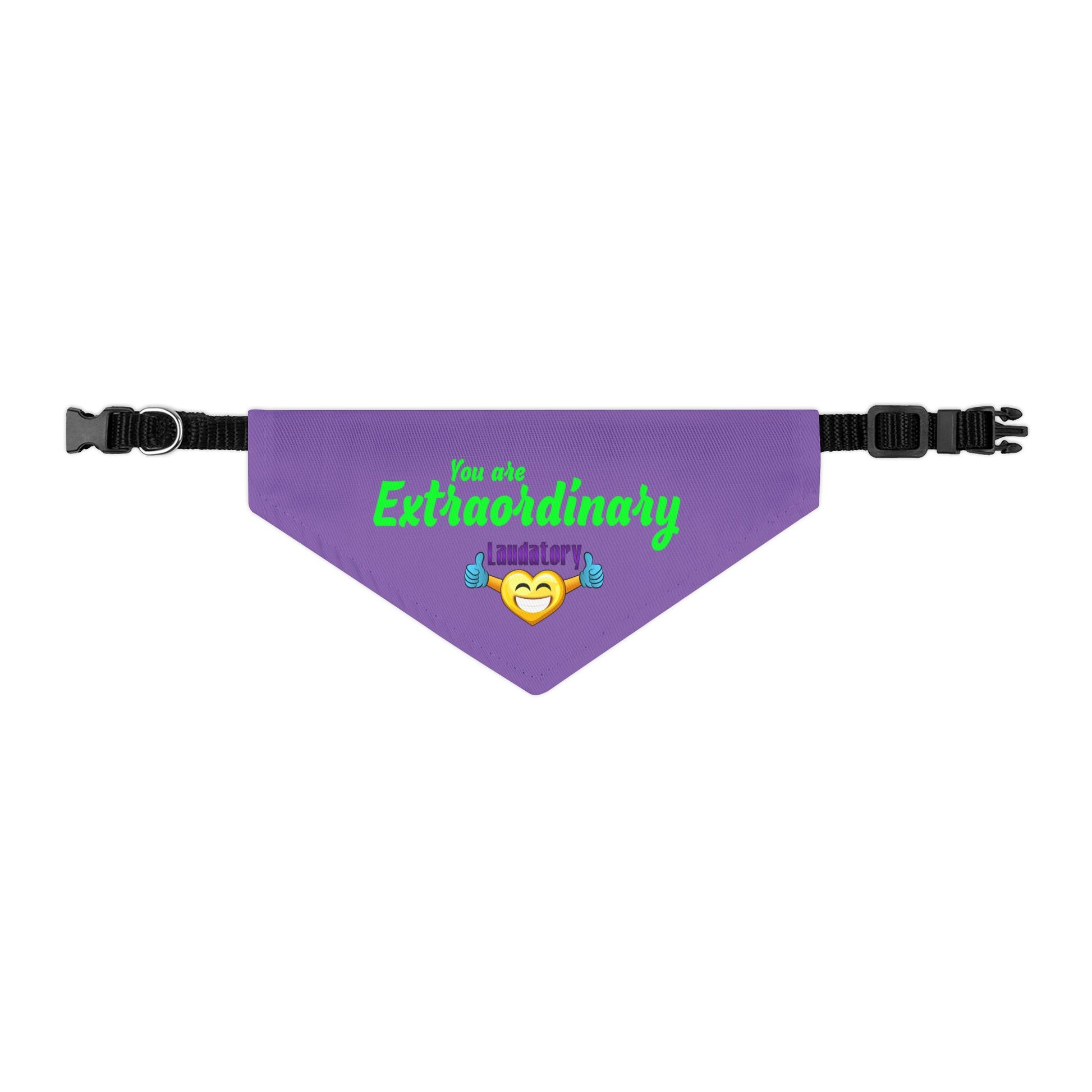You Are Extraordinary Pet Bandana Collar for Dogs | Uplifting Style