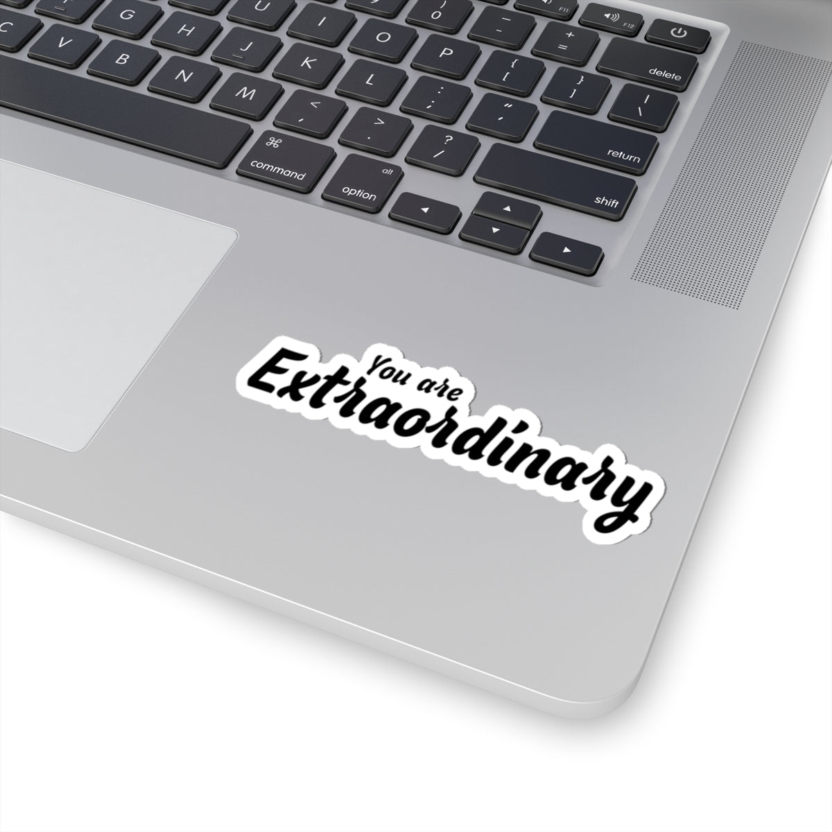 You Are Extraordinary Inspiration Kiss-Cut Stickers | Laptops & Journals