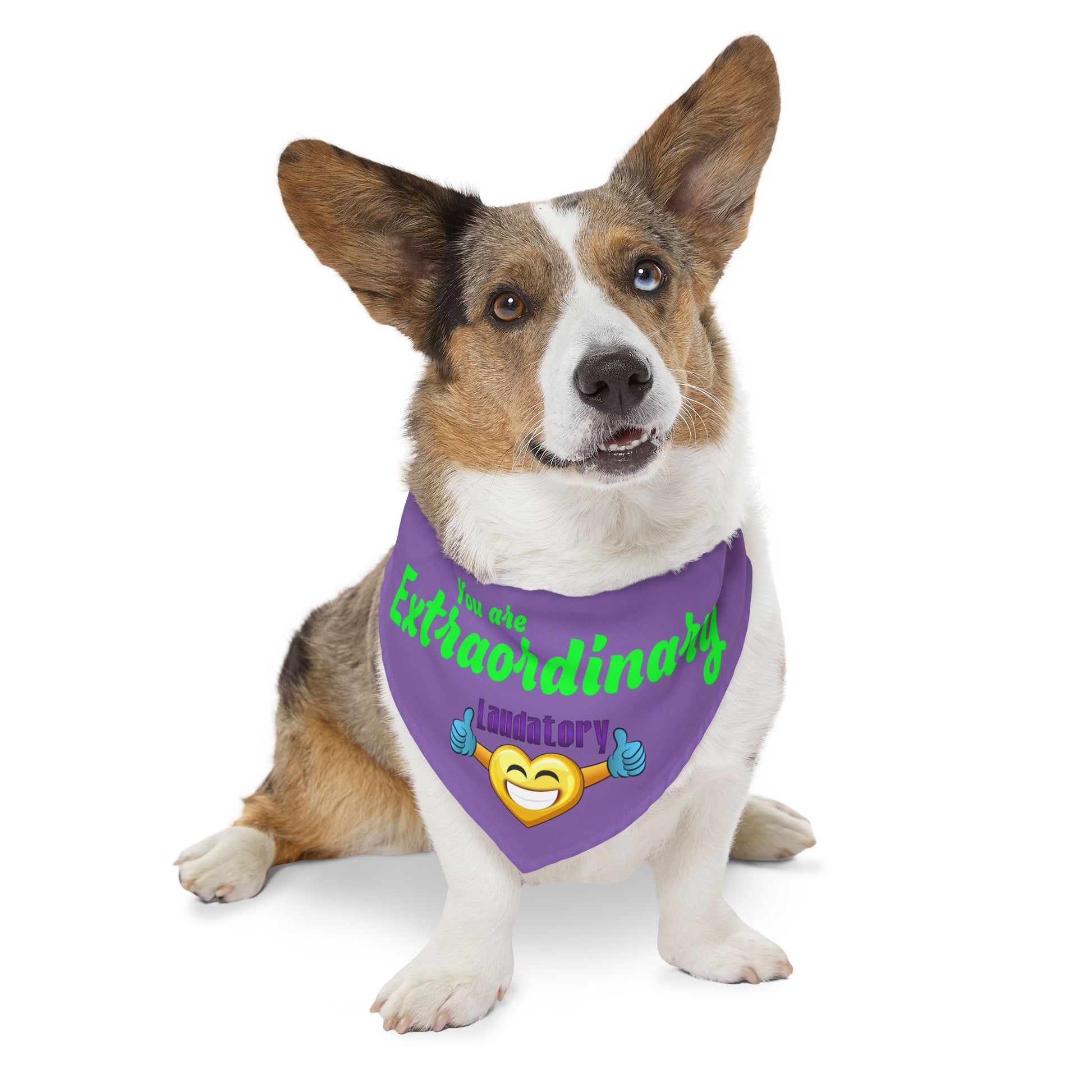 You Are Extraordinary Pet Bandana Collar for Dogs | Uplifting Style
