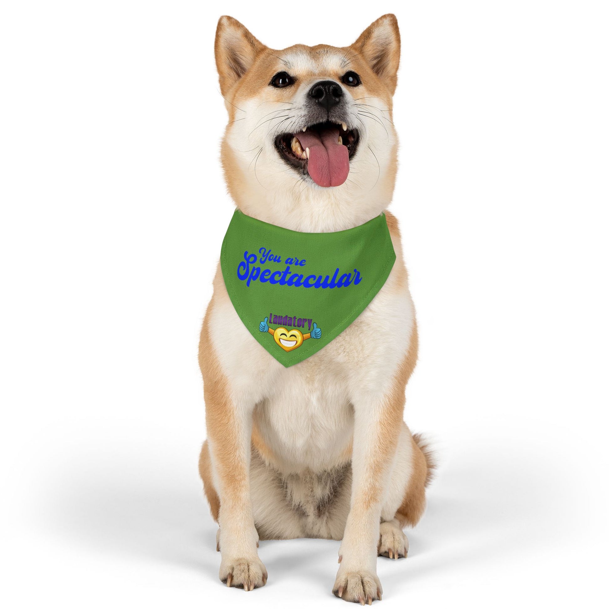 Fun Dog Bandana Collar | Stylish Pet Accessory for Dogs
