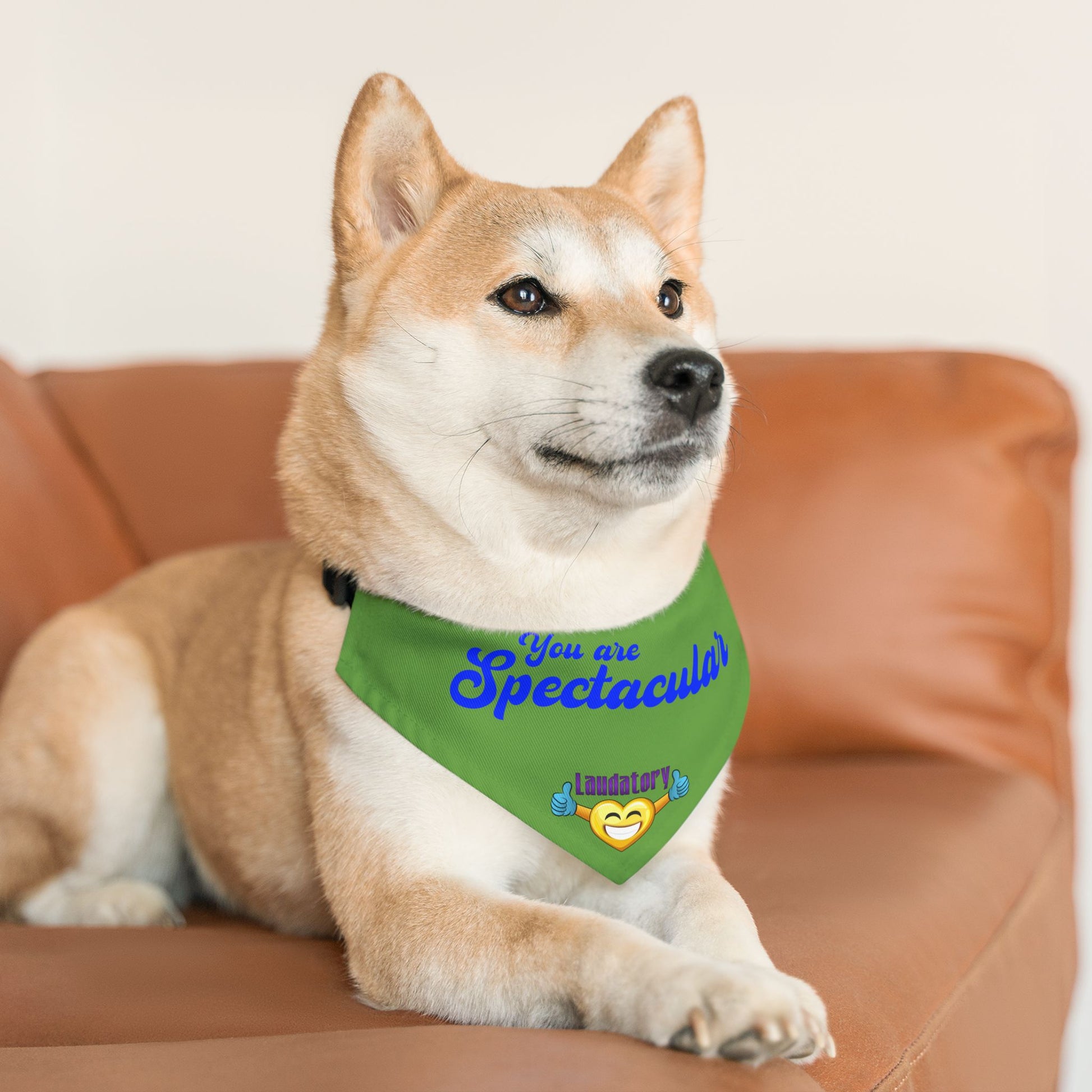 Fun Dog Bandana Collar | Stylish Pet Accessory for Dogs