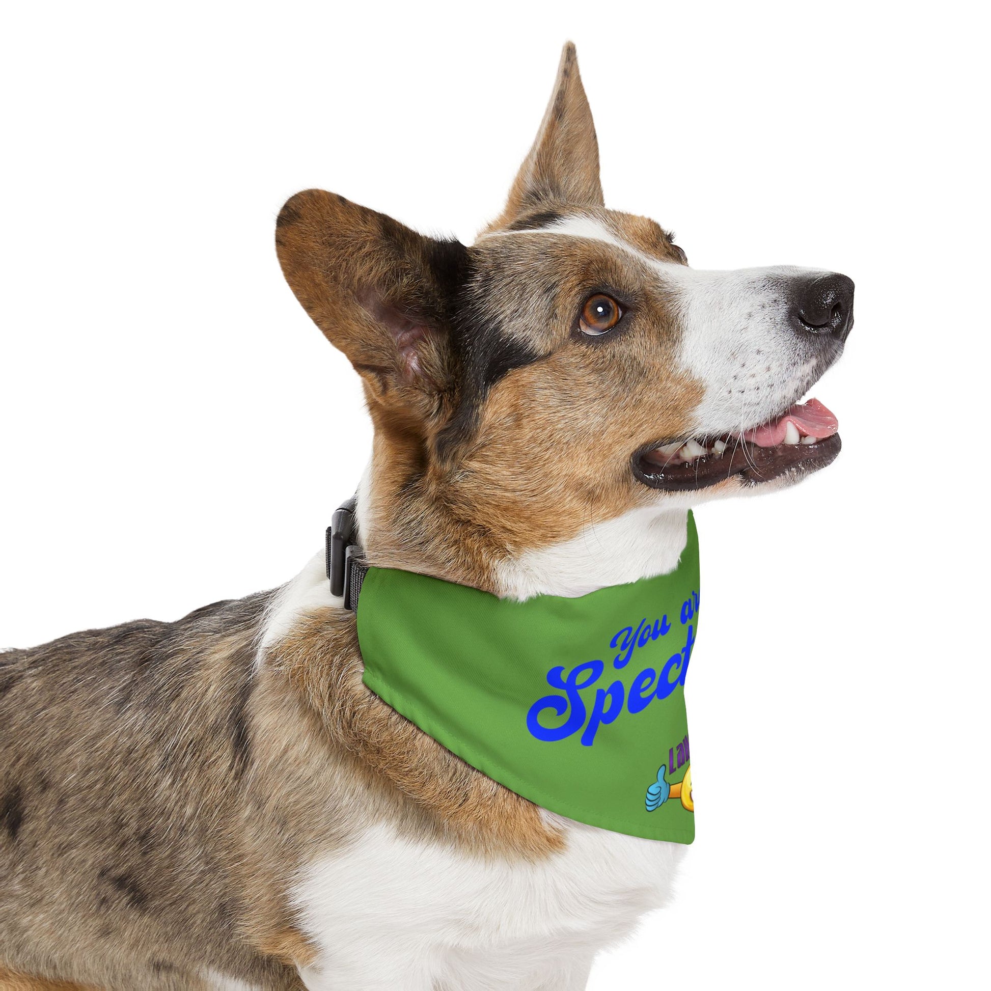 Fun Dog Bandana Collar | Stylish Pet Accessory for Dogs