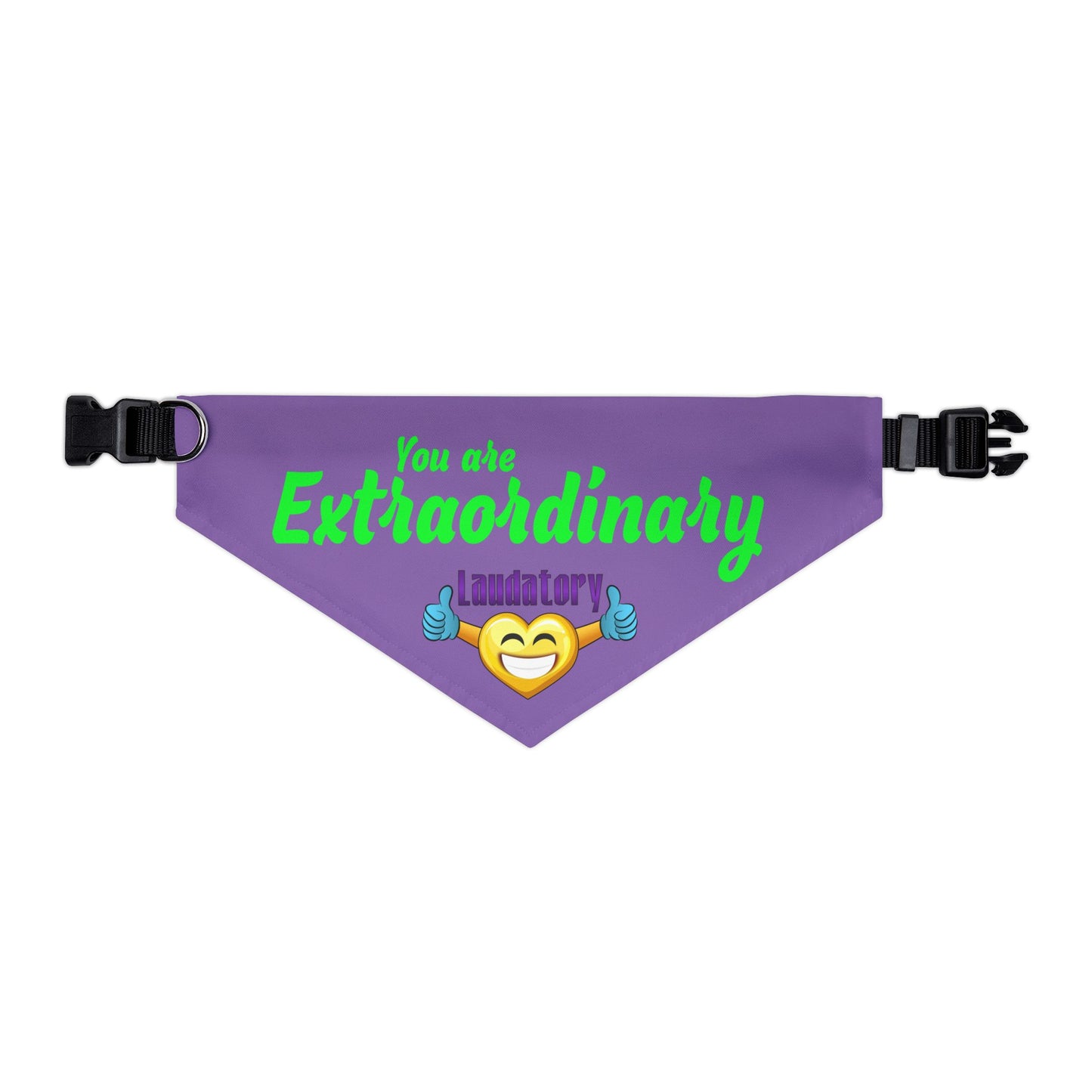 You Are Extraordinary Pet Bandana Collar for Dogs | Uplifting Style