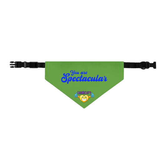 Fun Dog Bandana Collar | Stylish Pet Accessory for Dogs