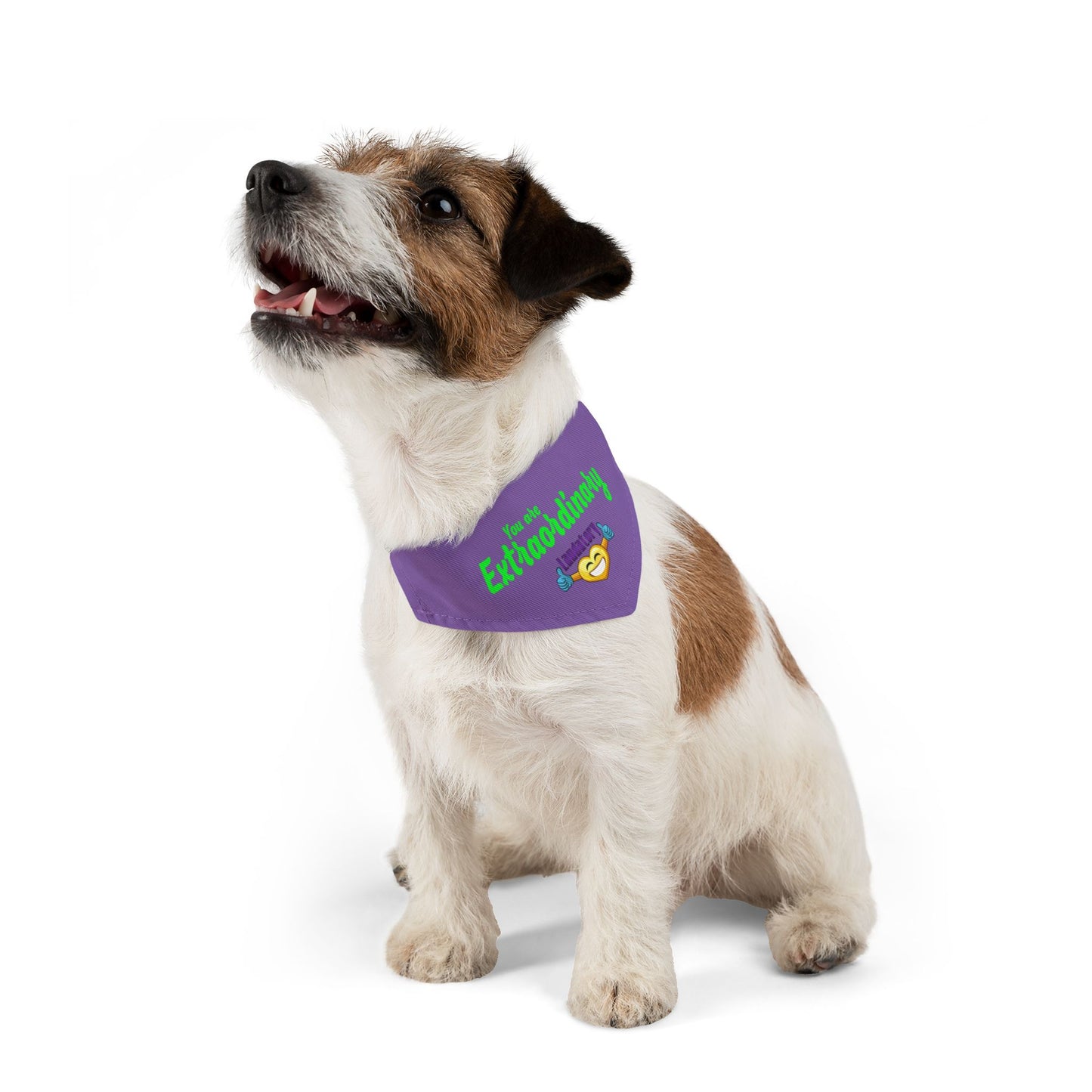 You Are Extraordinary Pet Bandana Collar for Dogs | Uplifting Style