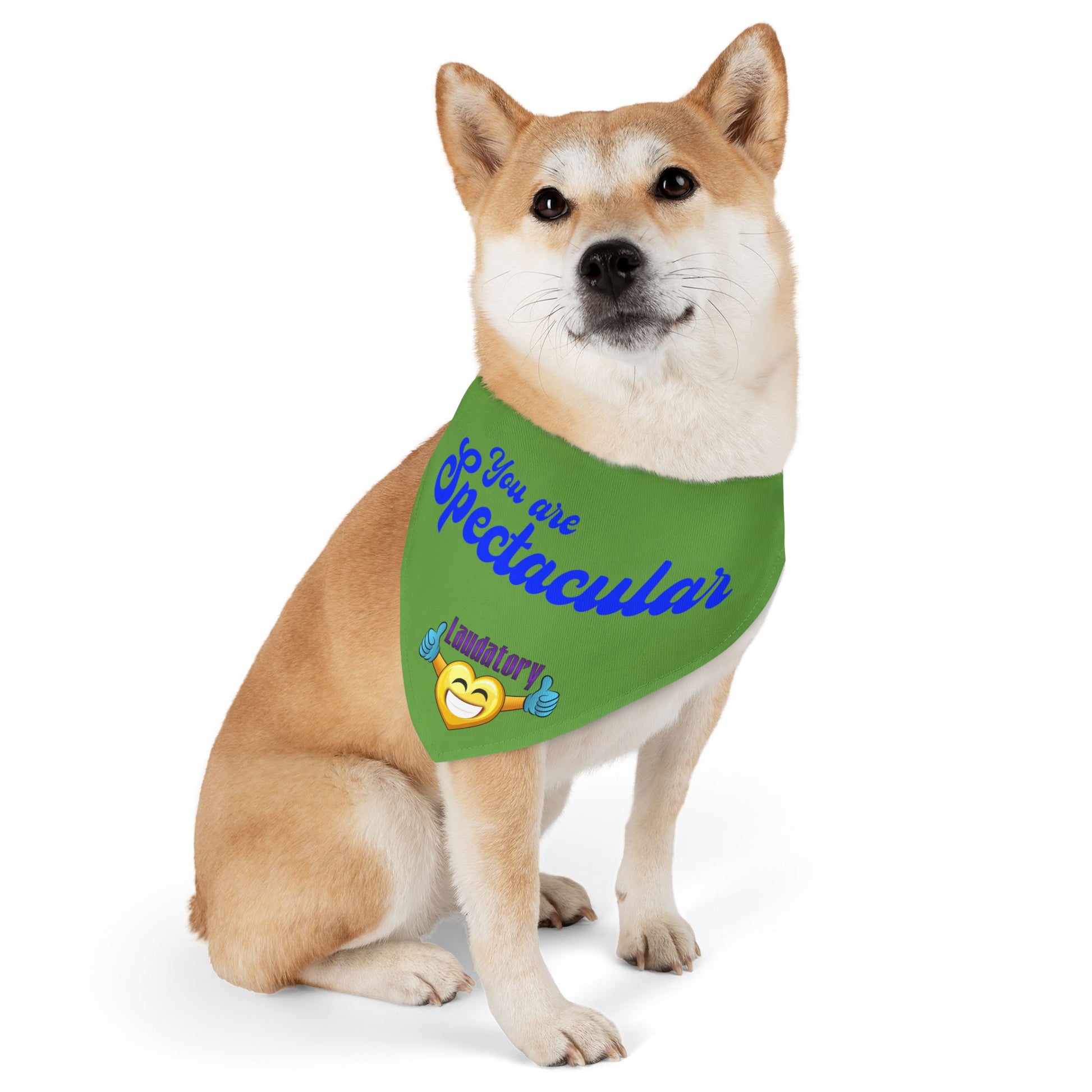 Fun Dog Bandana Collar | Stylish Pet Accessory for Dogs