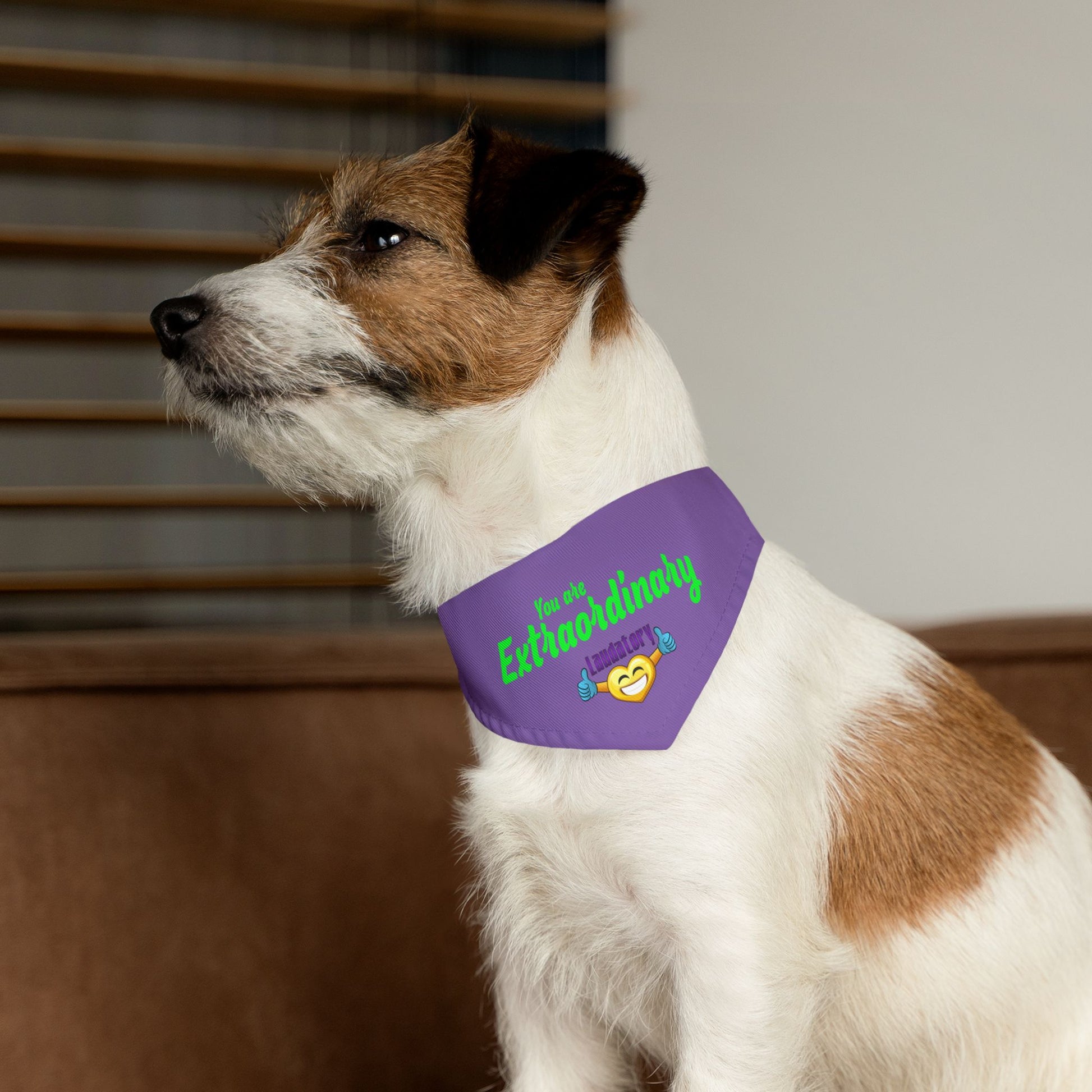 You Are Extraordinary Pet Bandana Collar for Dogs | Uplifting Style