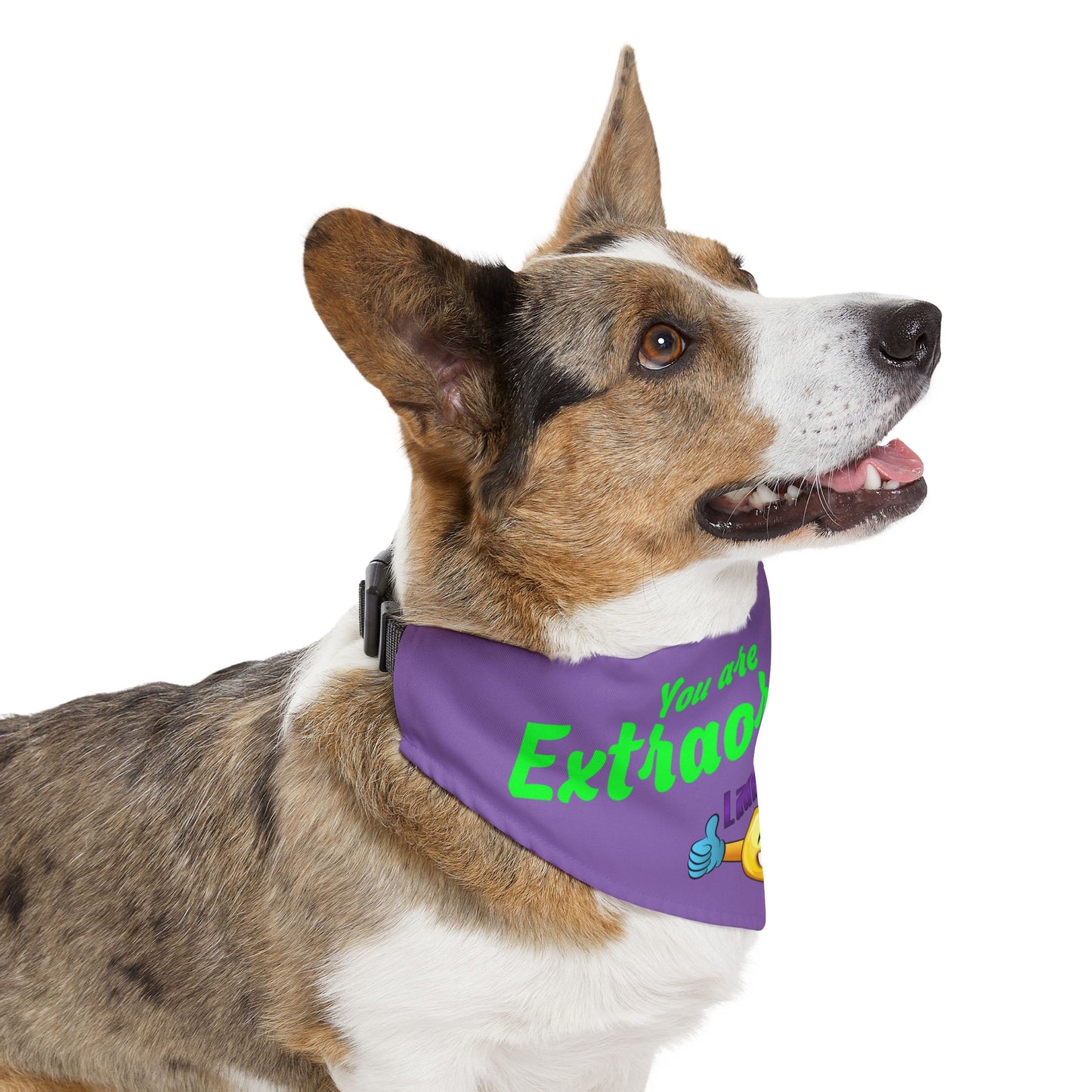 You Are Extraordinary Pet Bandana Collar for Dogs | Uplifting Style