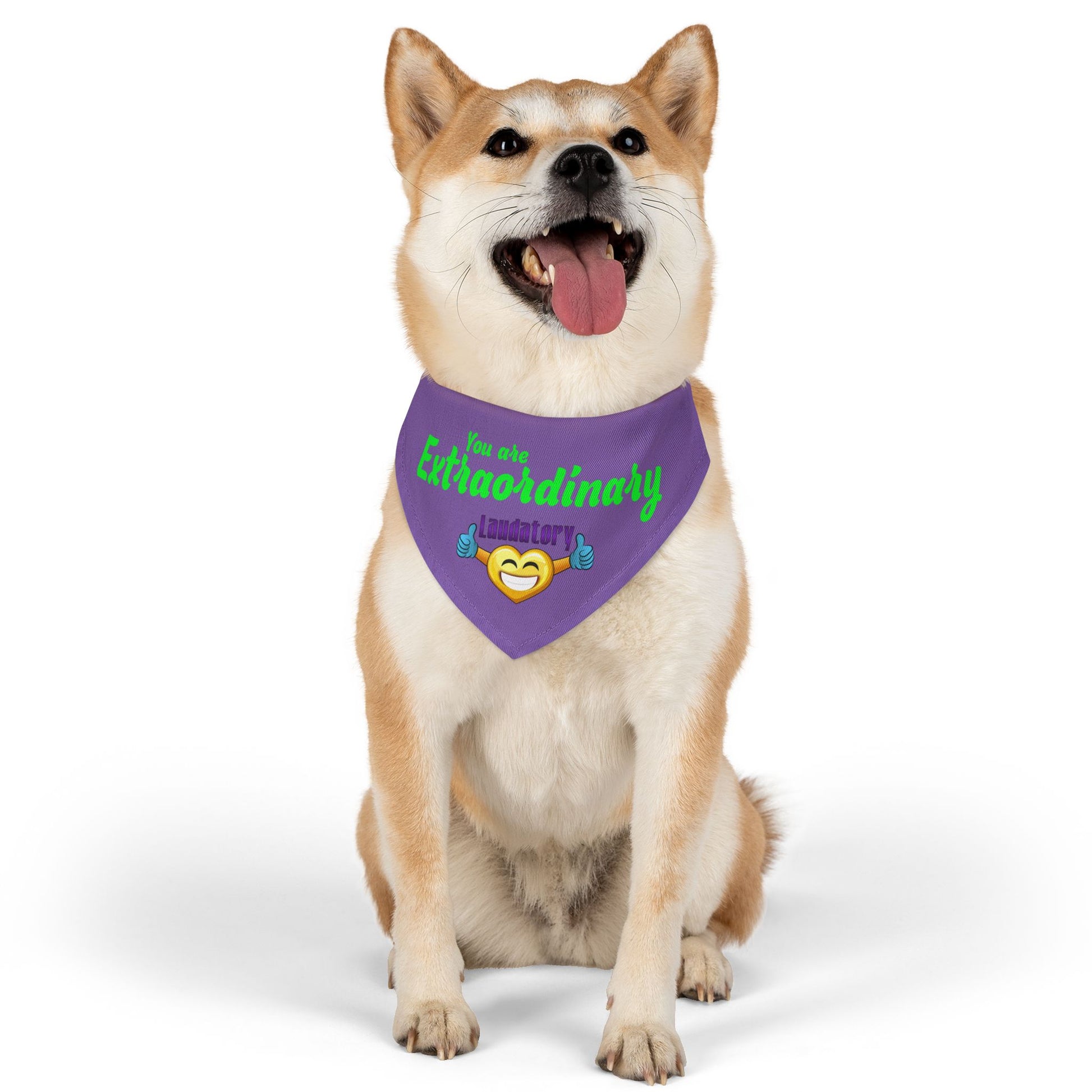 You Are Extraordinary Pet Bandana Collar for Dogs | Uplifting Style